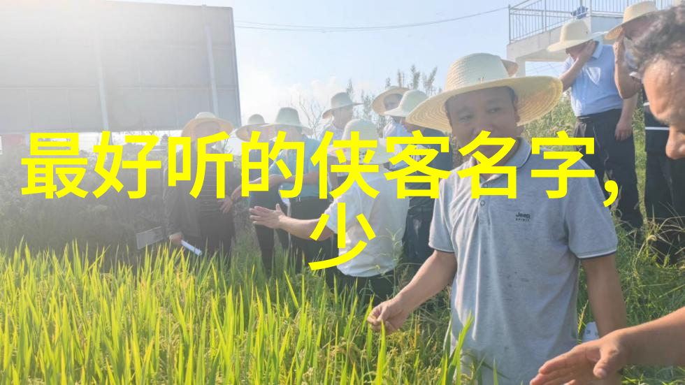 老王头的春天林初晴复古乡村生活的温暖回忆