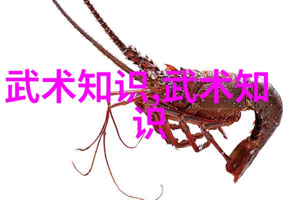 胡新朝探秘腰胯关系与基础武功秘籍之人生篇