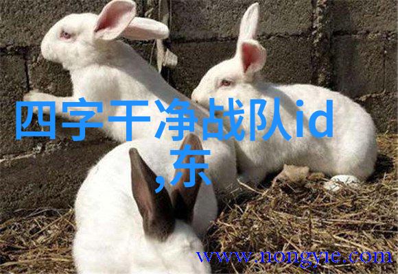 古代武术训练法体悟经典之韵