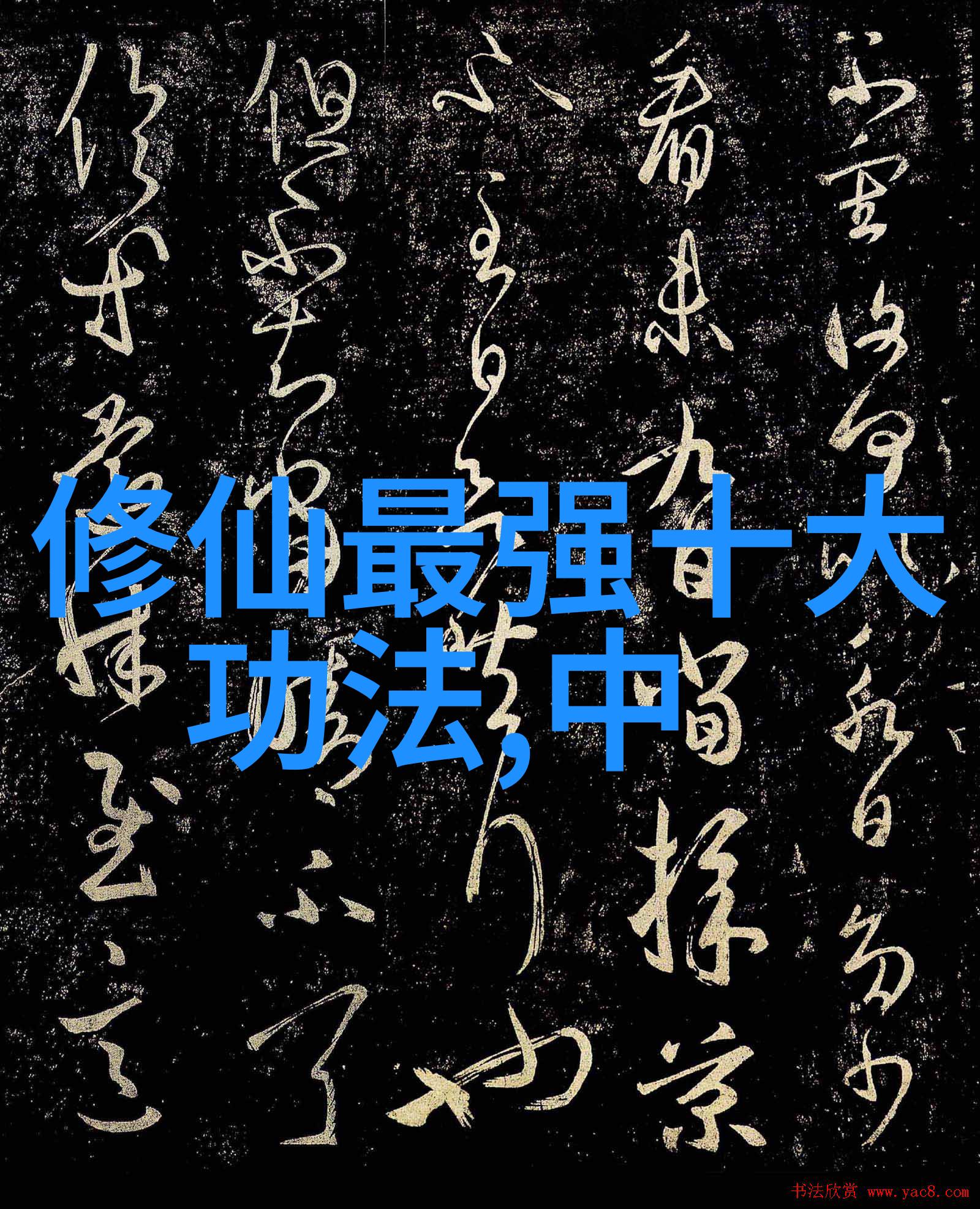 武术探秘揭秘武术资料网的精华内容与独特价值
