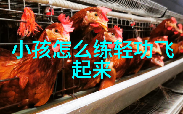 源于武举制度的无极拳法古龙四大绝世神功藏于古籍之中等待一位英雄手中解放