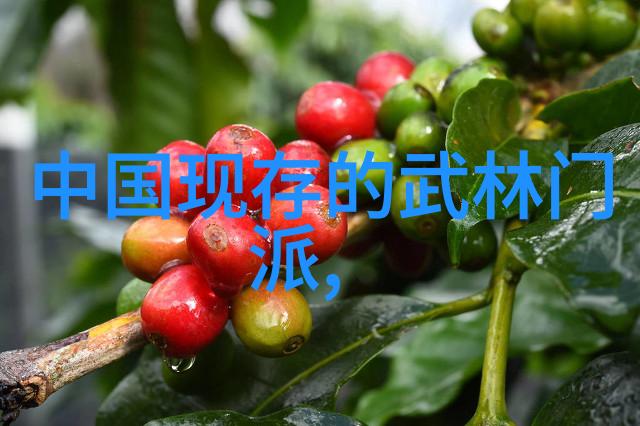 太极24式分解式介绍深入理解中国武术中的太极拳基本招式