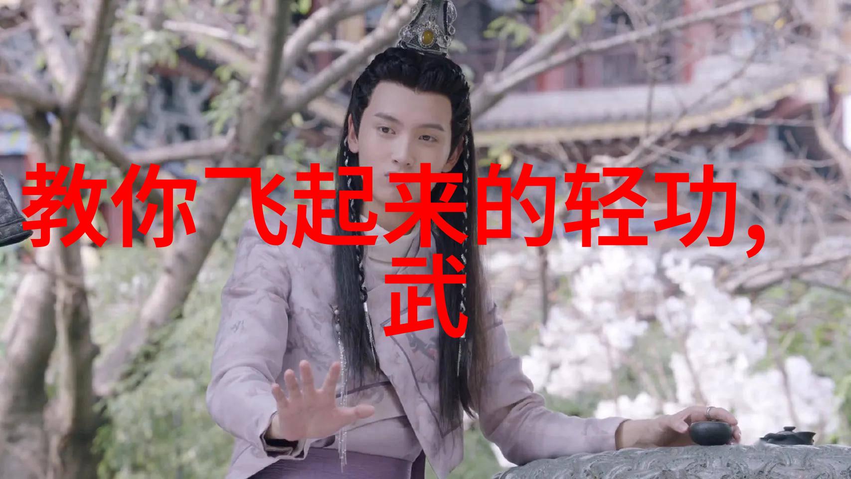 秘籍大全揭秘中国功夫的神秘面纱