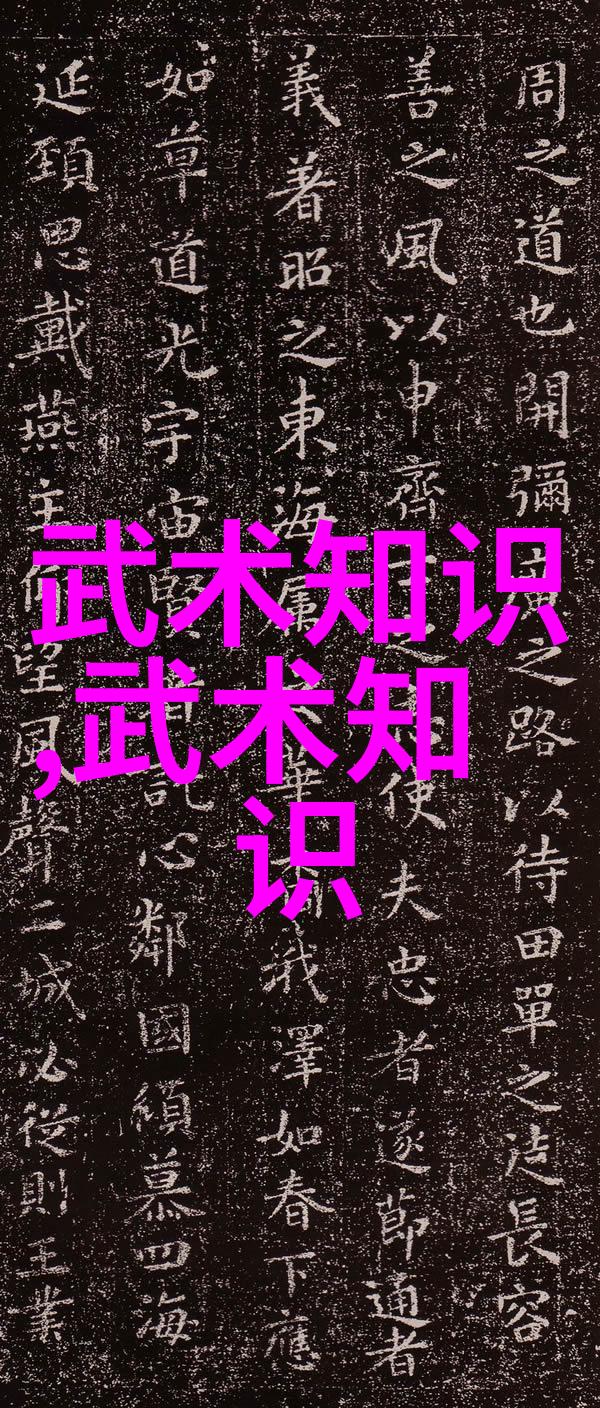龙虎斗影中国武术十大巅峰
