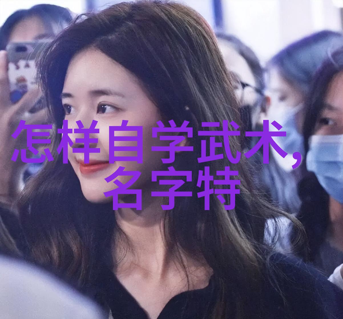 入门拳法研究基础技巧与训练方法