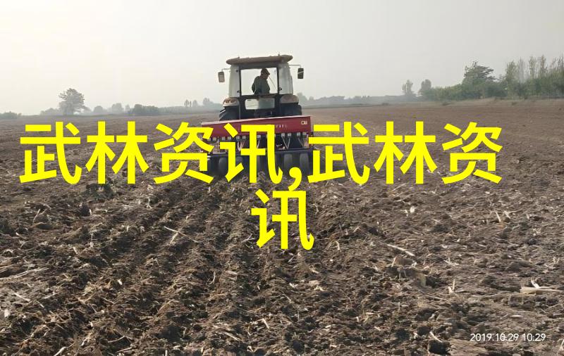 武林八大门派掌门人传记集