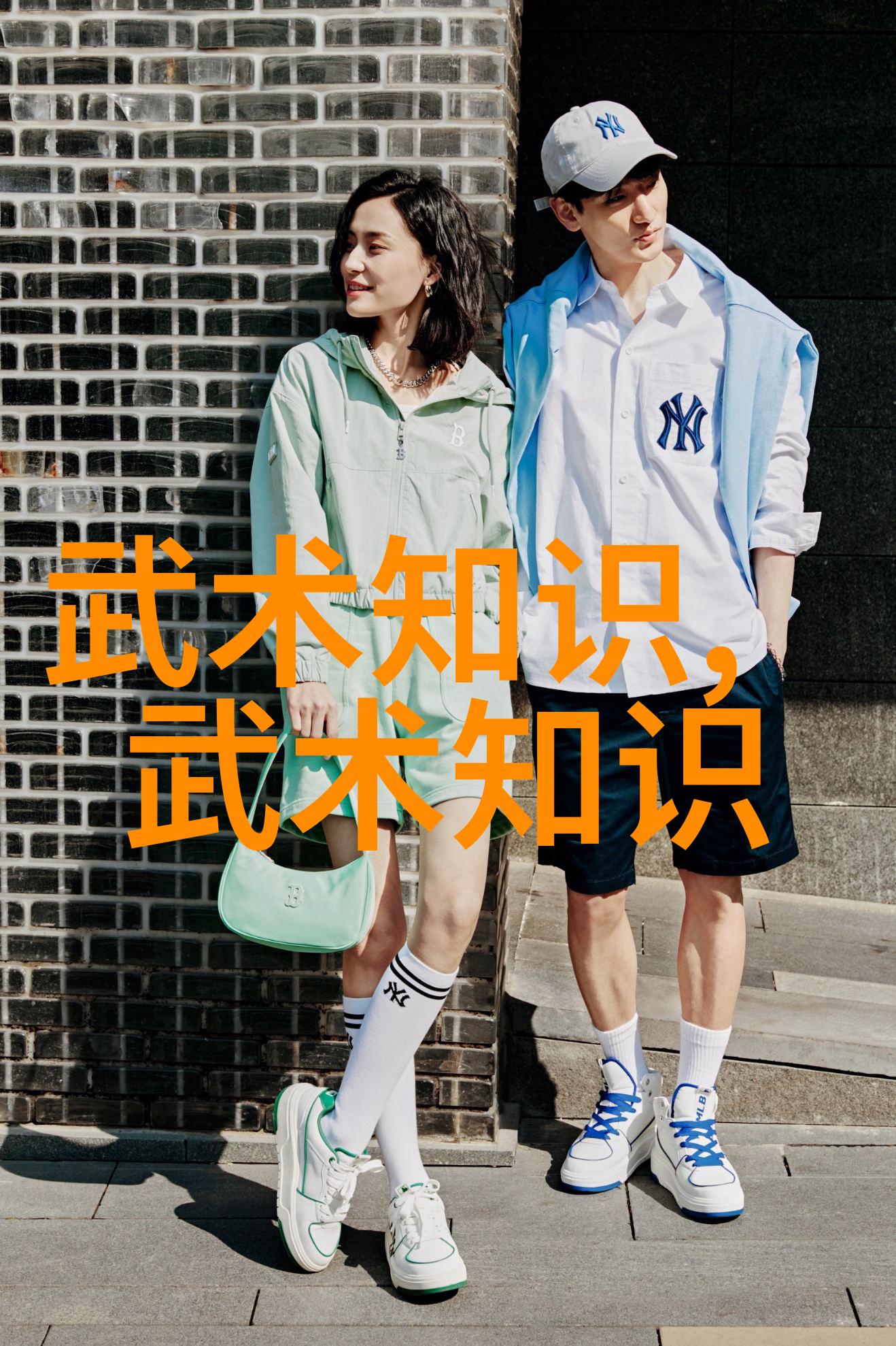 武林绝学秘籍剑气凝霜拳影绘风