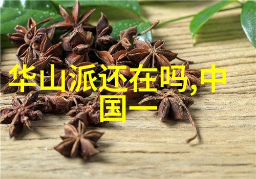东岑西舅互相口片段-家族记忆的断章东岑西舅间的对话残篇