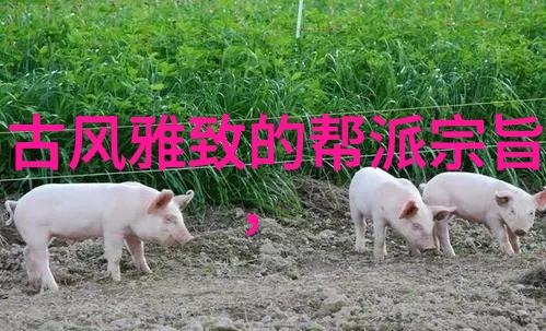 形意拳之绝技无敌揭秘最难对付的招式