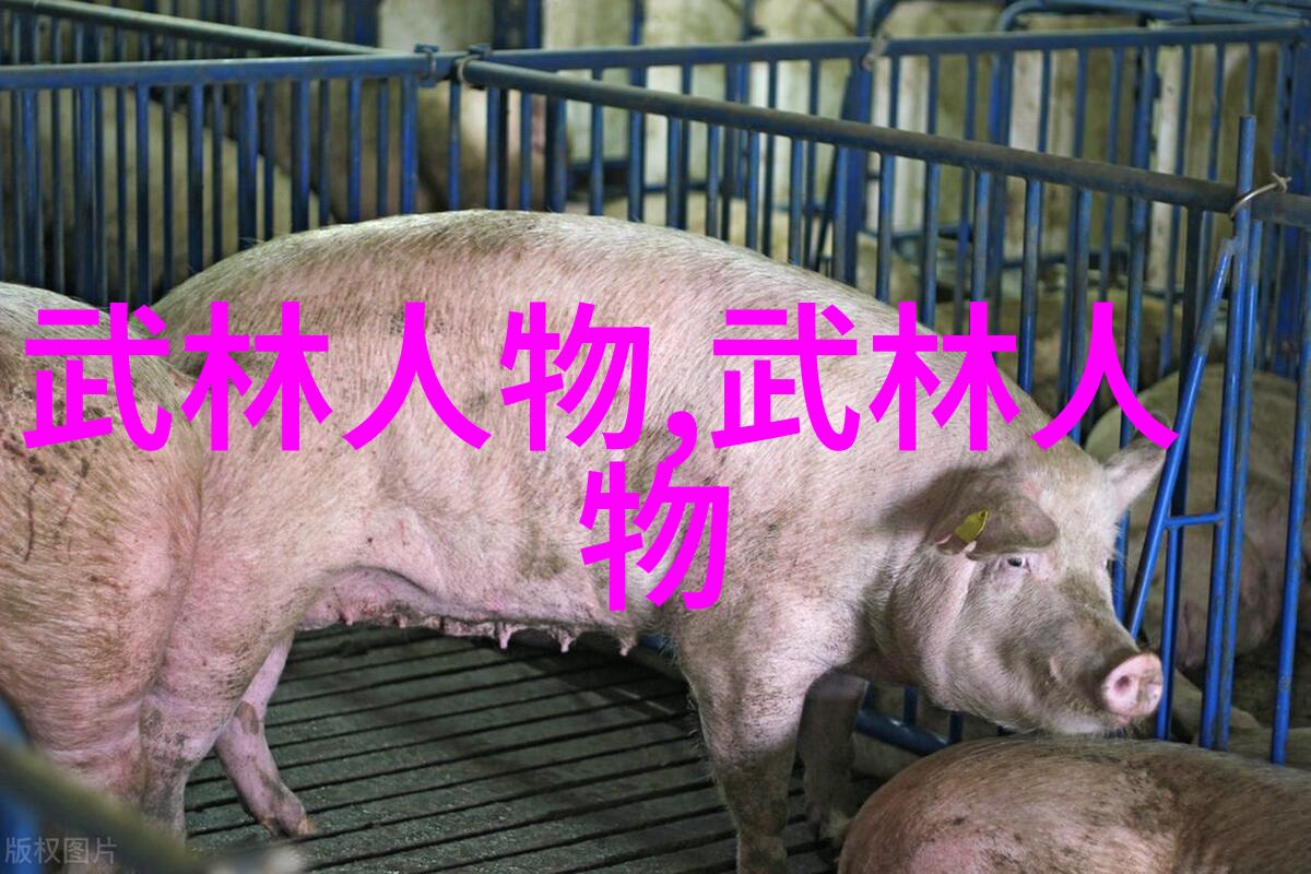 武术教程-内外兼修揭秘武术训练的精髓