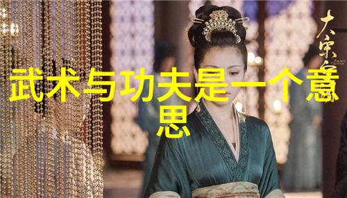 中国武术传统中华武学精髓