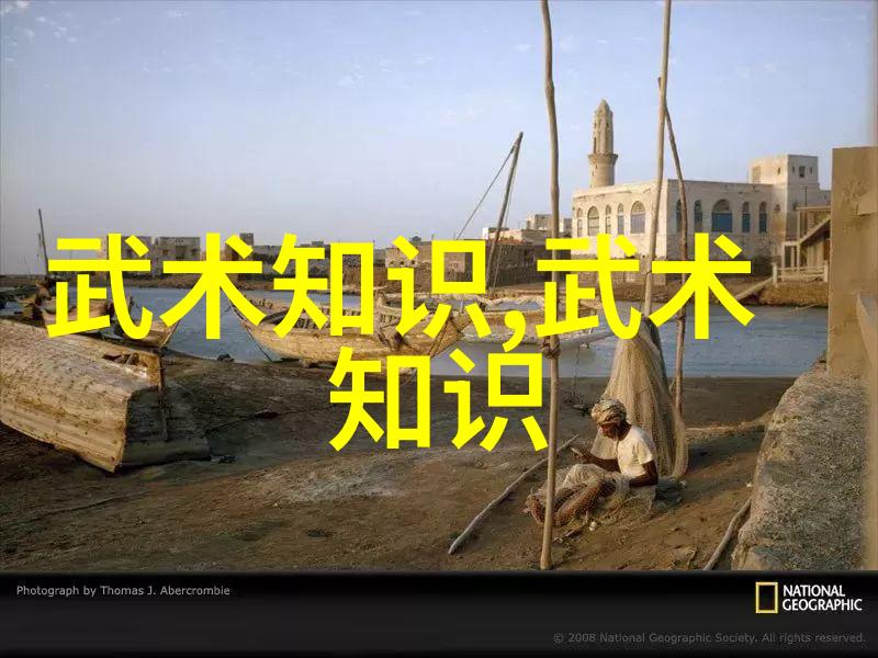 世界羽毛球锦标赛冠军使用的胜利VICTOR TK15(进攻版)糖水拍价格如何