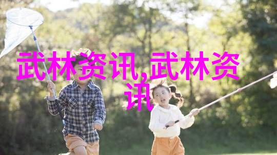 少林派传统拳法之巅峰技艺