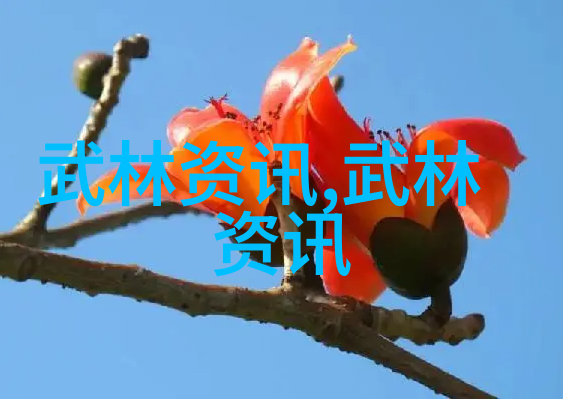 48式太极拳全套视频带口令教学研究探究传统武术与现代技术融合的教育实践