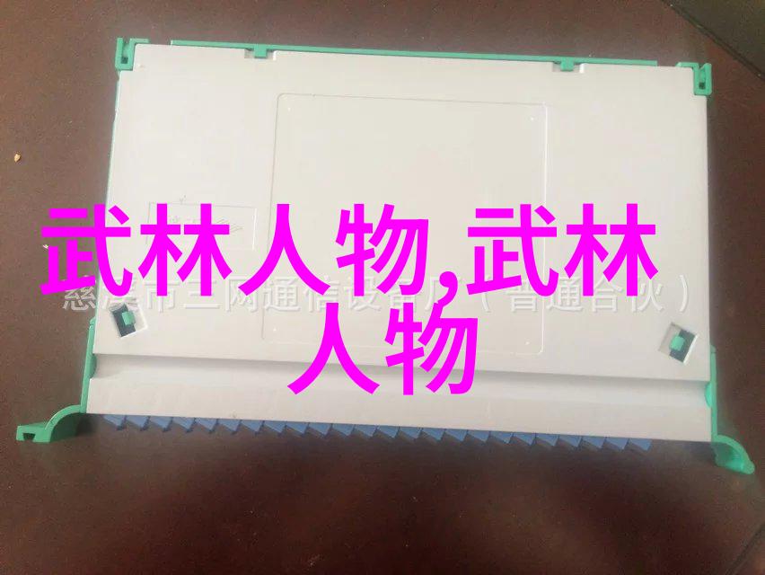 掌握中国武术基础拳法体验中华健身文化