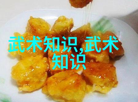 太极武功与科学二十四式简化太极拳图解在社会的应用与推广