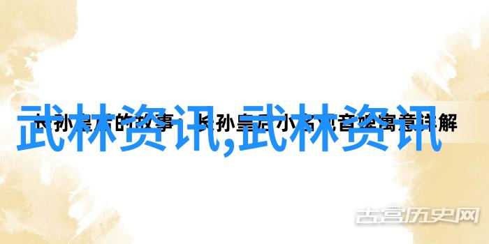 河南省信阳市举行2015年太极拳段位考评