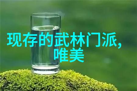 古代武功秘籍内涵深邃的古籍之谜