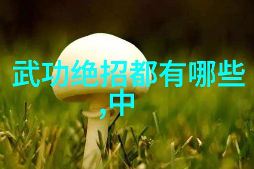 风华盟主碧波轻柔