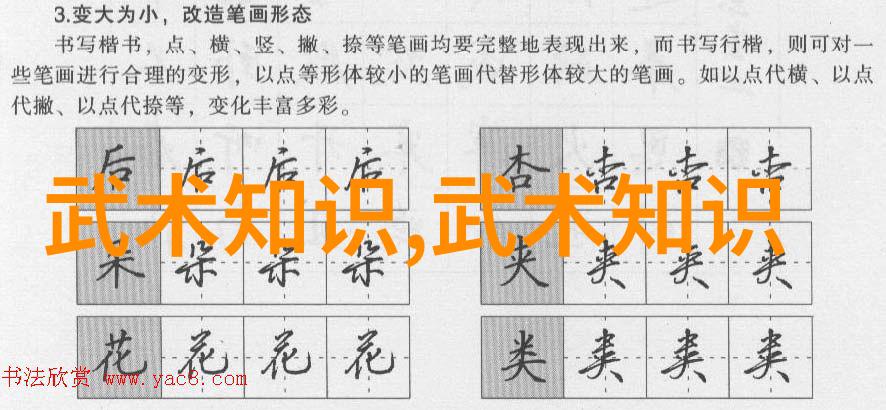 如何有效地学习武术方法与技巧