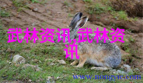 足球场上的梅西如同一位天才画家挥洒着无与伦比的艺术风采而那些不满施压记者的言论却如同冷漠的旁观者只能