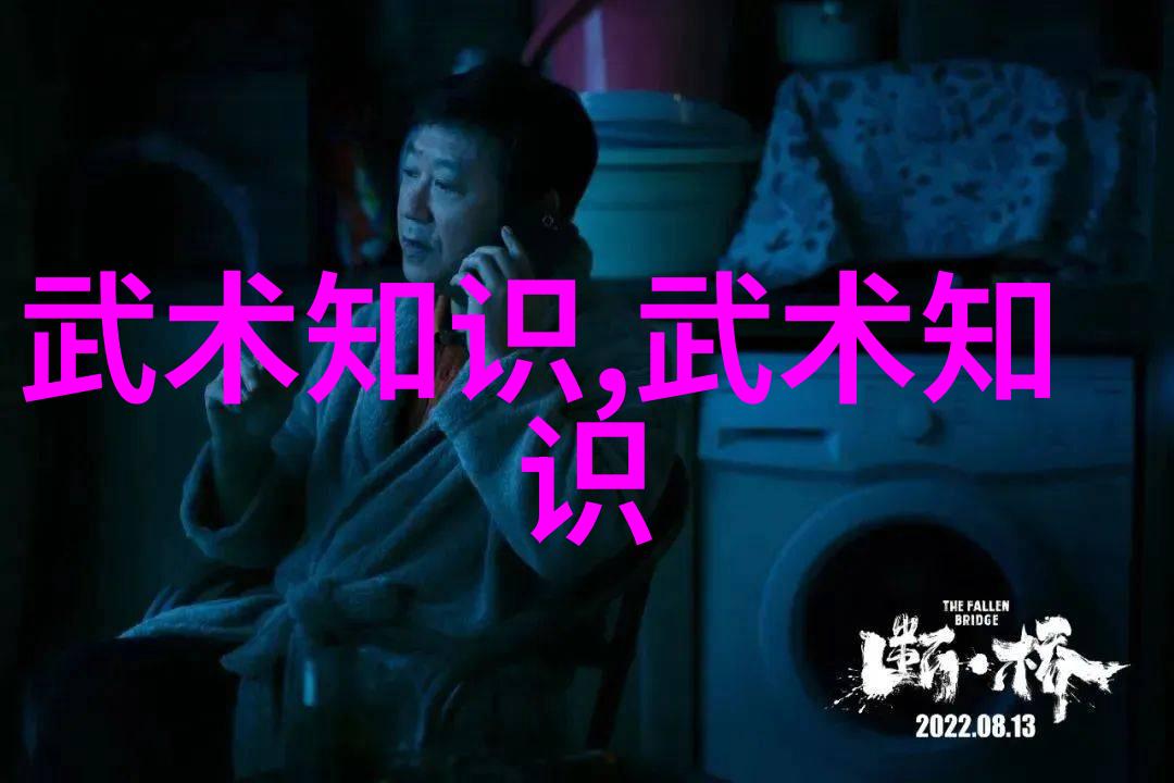 掌握内家拳技巧一学就会的基本招式与练习方法