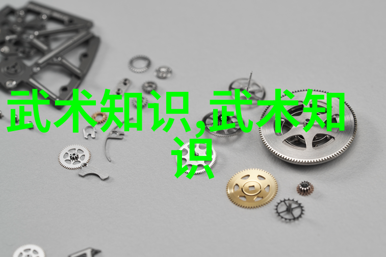 功夫大全招式拳法之谜揭秘古老武林中的神秘招式