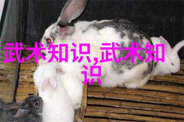 哪些因素决定了一个武林高手能否加入屠龙记中的某个门派