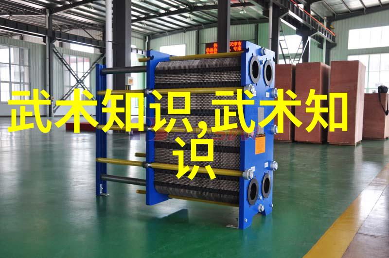 如何快速学会轻功咏春训练秘诀