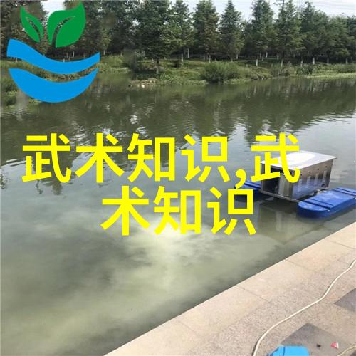 武林八大门派合流大会一个新的时代的开始