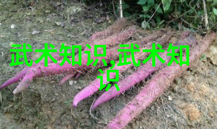 中国最有实战性的功夫揭秘我国这门能一拳打飞人腿的神秘武术