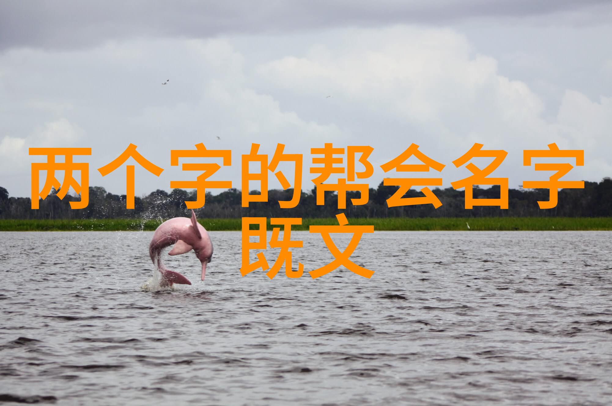 武术的秘密揭秘武侠世界中的12个必会动作