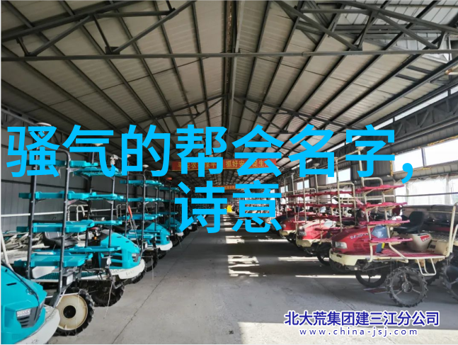 太极拳秘奥揭秘24式动作之美