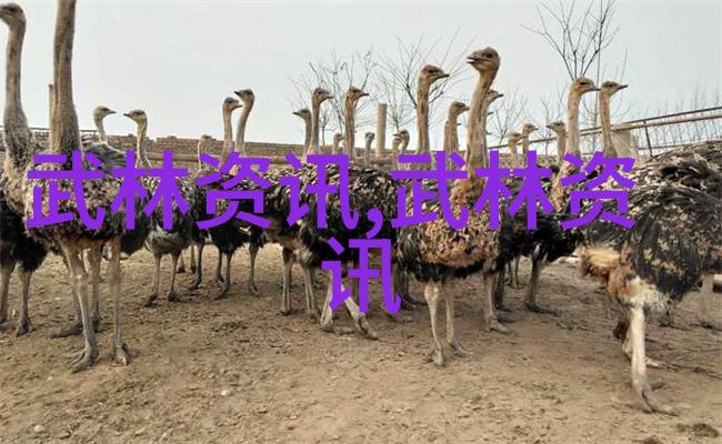 霸气仙盟名字四个字 - 霸主星辰命名仙盟的霸气之选