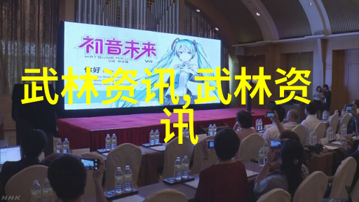 沉默的拳影中国古秘传武术之谜