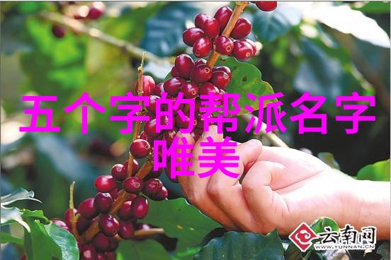 24式太极拳分解动作教学掌握古典武术中的流水般舞步