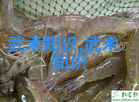 气功禁区马权友的太极行走坐卧立之谜