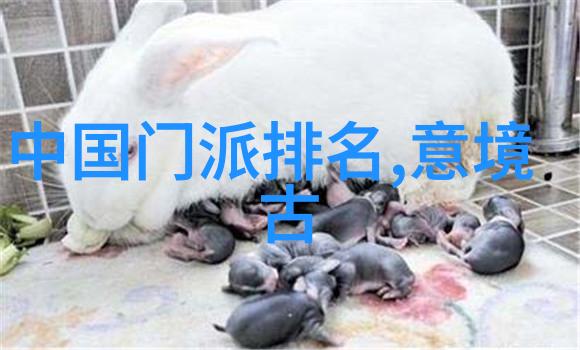 邱慧芳传授的24式太极拳全套教学探索内外兼修的武学艺术