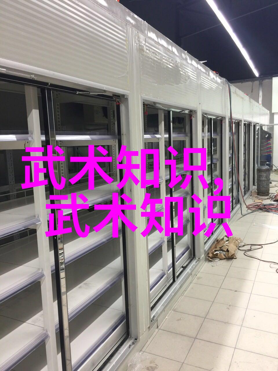 屠龙记中的二十一个门派肖氏心意拳