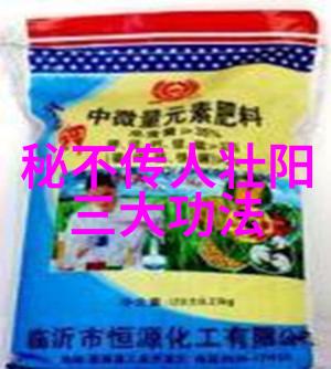 江南武术的精髓探索江苏武林门派的秘密