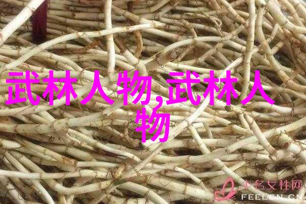八三年武术事件揭秘武林风云与隐匿的绝技