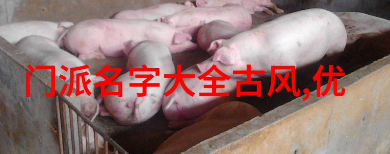 中国最厉害的武术排行我看过的那些令人瞠目的武术高手