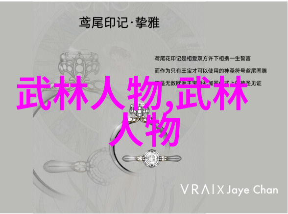 羽毛球之巅林丹的传奇