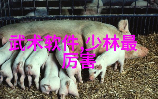 奥运会田径的使者发布2021年全国田径高级中级教练员岗位培训班径赛竞走全能项目召集令