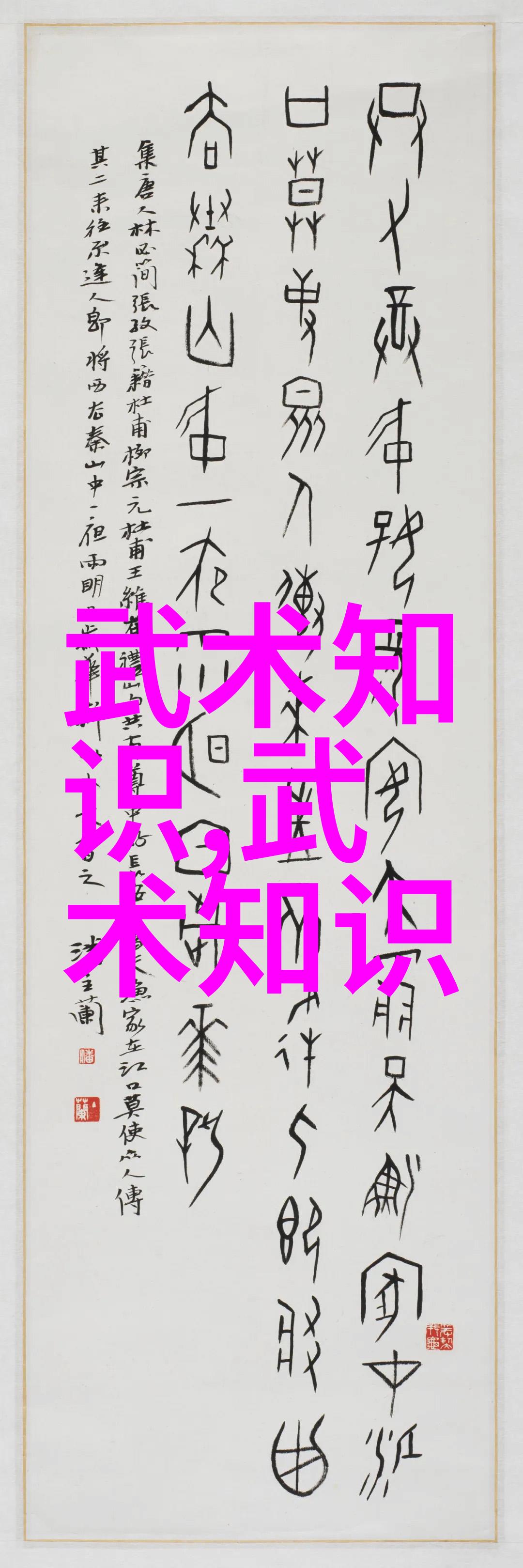 南拳和华拳哪个厉害太极螳螂拳决战
