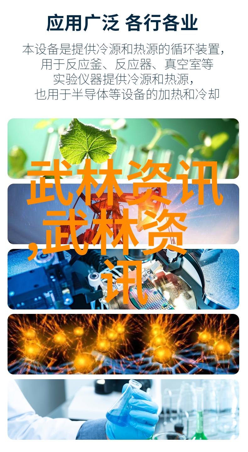 李小龙的功夫教学视频跟着大哥学打架我是如何从零到英雄的