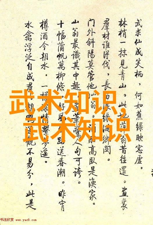中国功夫中的精妙拳法中华武术中的各种独特拳击技巧