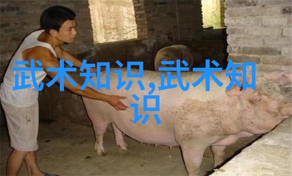 怎样才能练成功夫我是怎么学会和老婆打得火焰山的