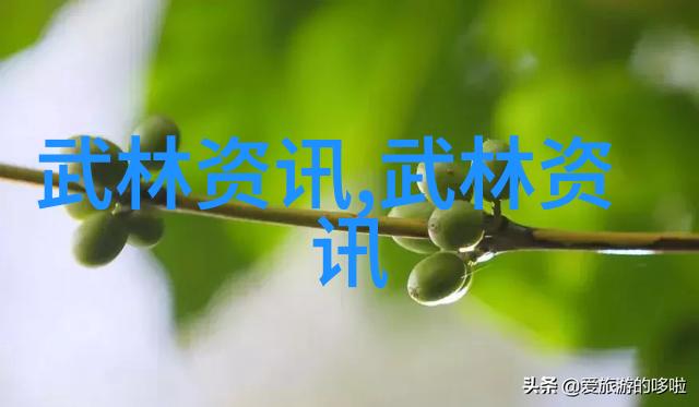 武术教程拳脚并进的艺术之旅