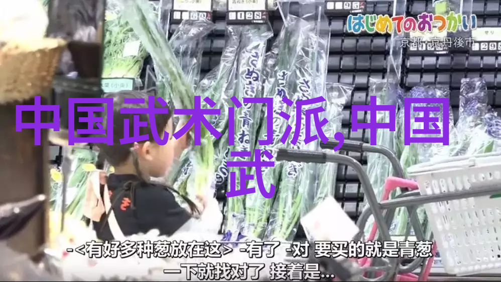 揭秘中国武术十大拳法排名探索古老艺术的精髓与技艺